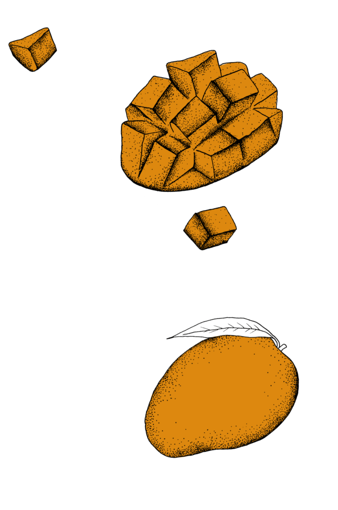 Duck & Mango Recipe Kitchen Table